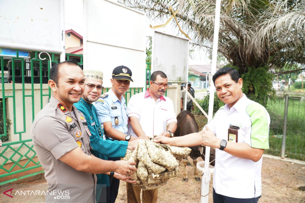 Pertamina Dumai serahkan 24 sapi donasi karyawan dan perusahaan