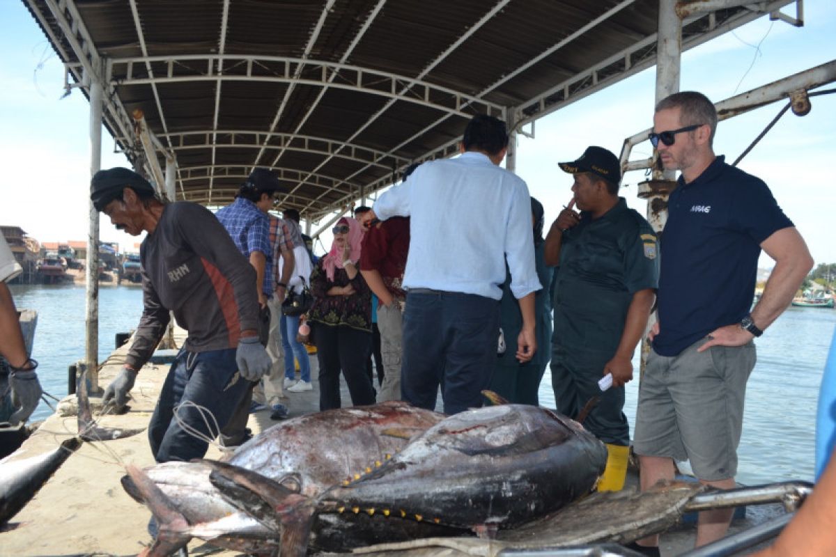 Komisi perikanan regional puji pendataan produksi tuna RI