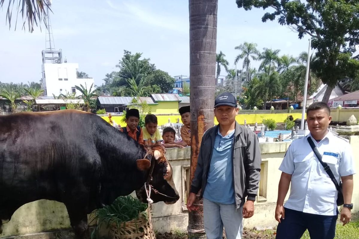 Gubernur Sumut serahkan delapan ekor hewan kurban untuk beberapa masjid di Langkat