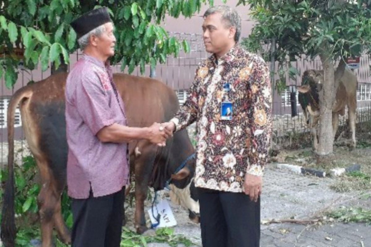 Bank Jateng serahkan 41 hewan kurban