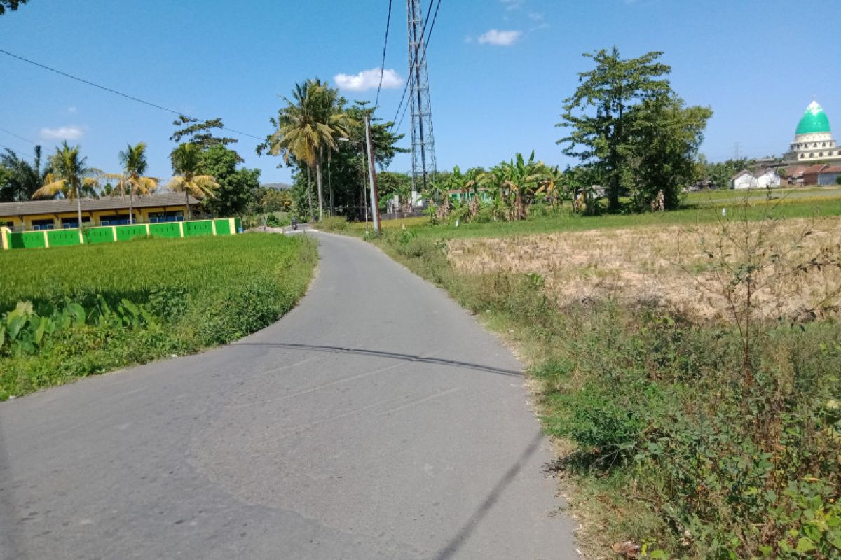 Pemerintah stop penyaluran DAK jalan usaha tani di Kota Mataram