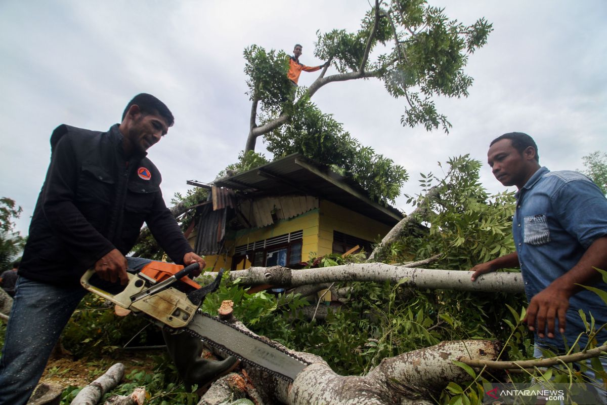 33 rumah rusak disapu angin puting beliung di Aceh Timur