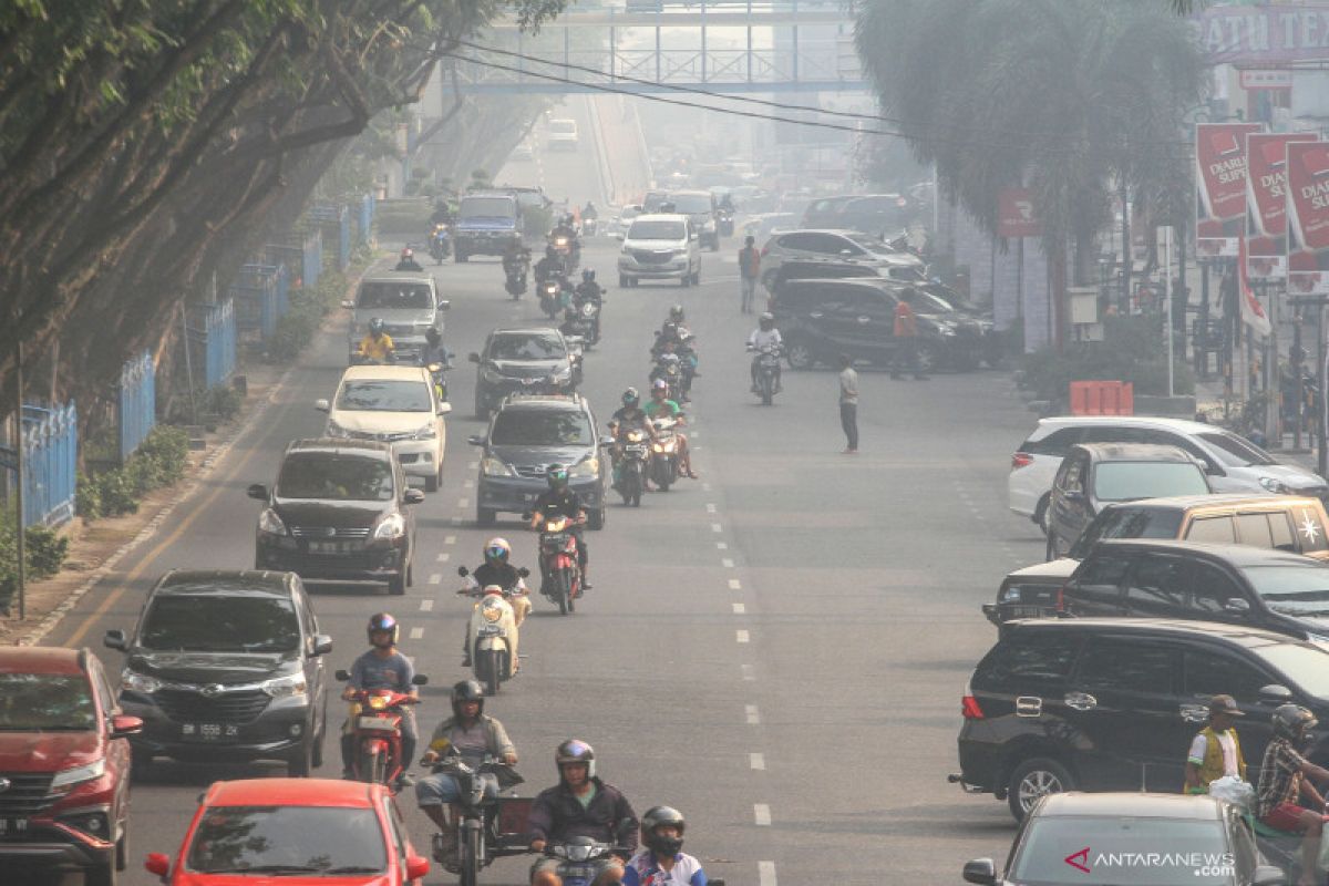 Smog from forest fires shrouds Riau, West & Central Kalimantan