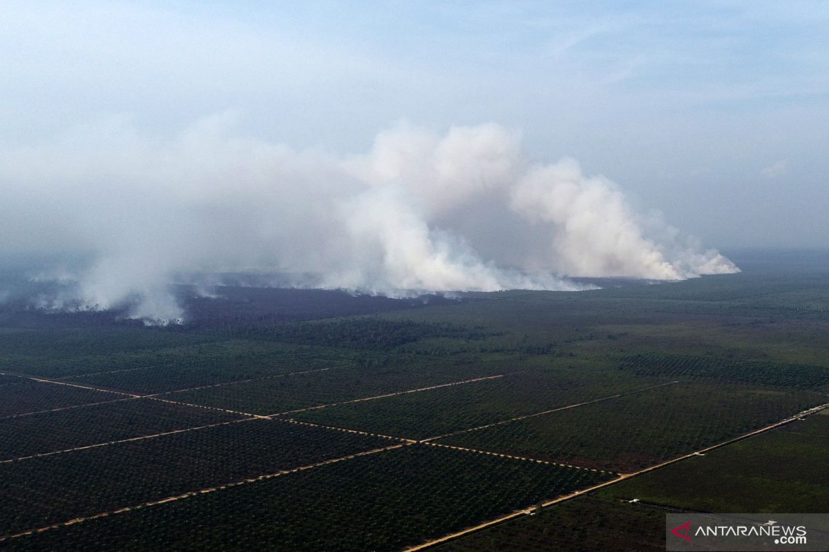 404 titik panas mengelilingi wilayah Kalimantan Barat