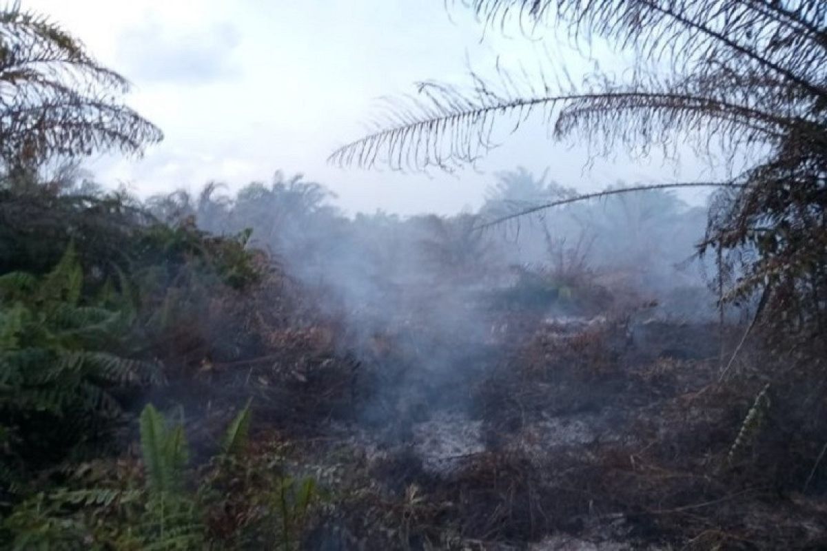 BMKG: hujan padamkan kebakaran hutan dan lahan di Aceh