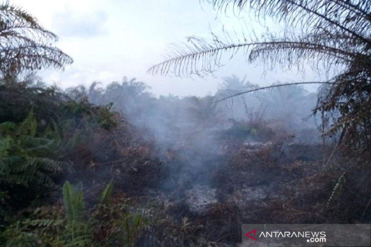 BMKG: hujan padamkan kebakaran lahan di Aceh