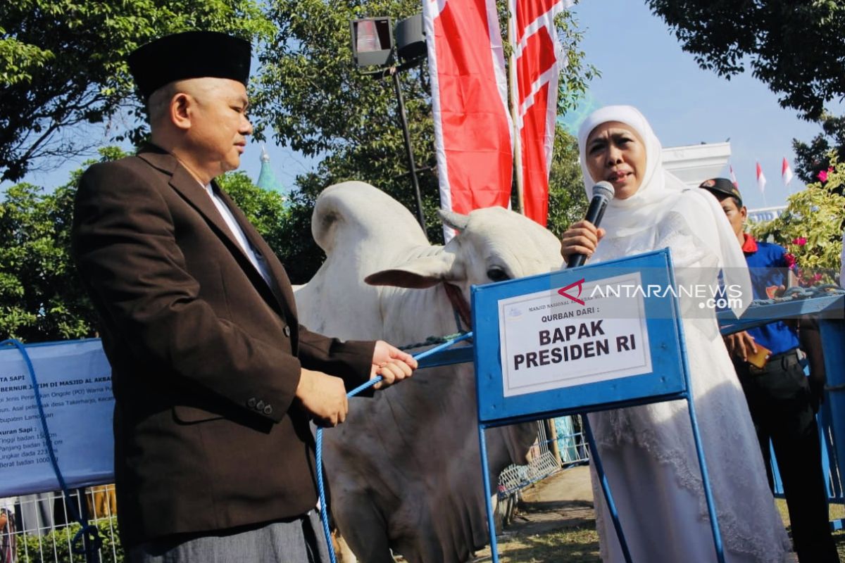 Masjid Al Akbar gunakan besek dan daun jati bungkus daging kurban (Video)