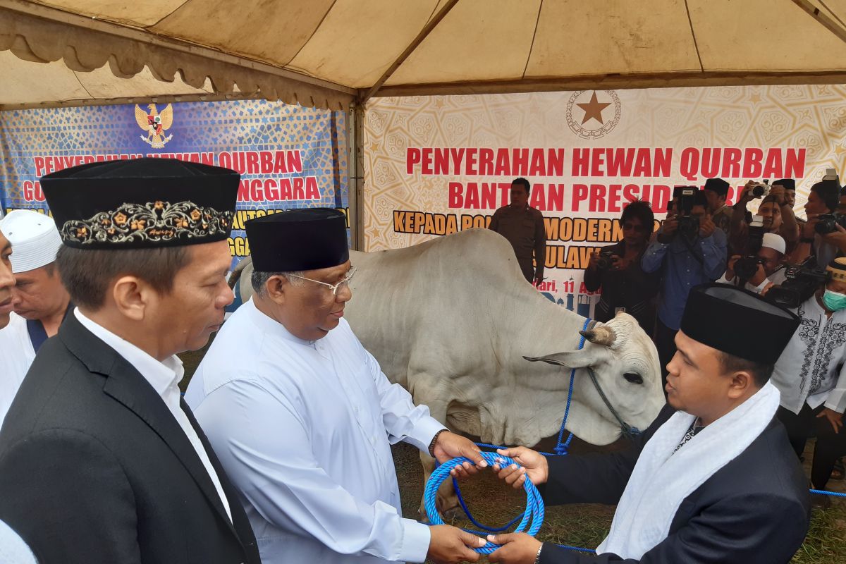 Gubernur Sultra serahkan sapi sumbangan Presiden