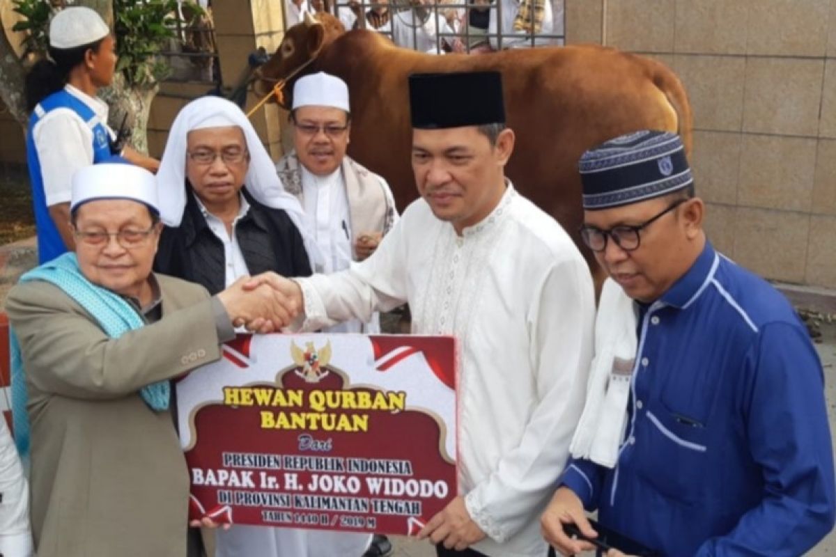 Presiden berikan sapi kurban seberat satu ton lebih ke Kalteng