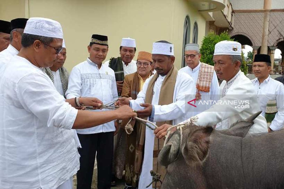 Aceh Barat sumbang 48 ekor ternak untuk warga saat Hari Raya Idul Adha
