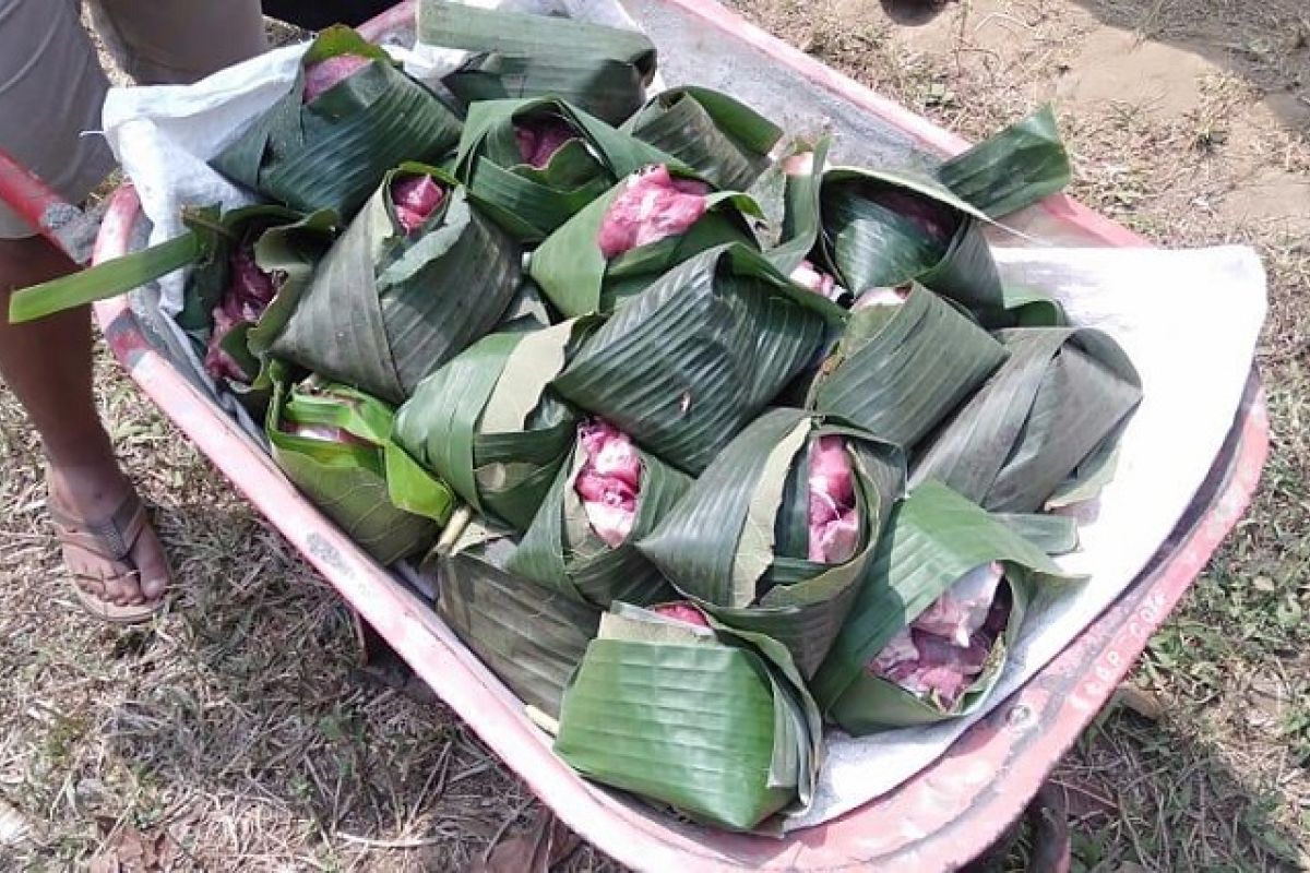 Warga manfaatkan daun pisang bungkus daging kurban