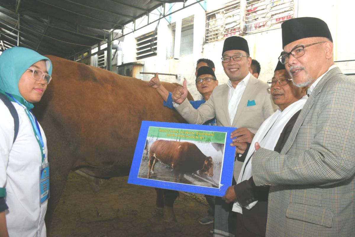 Ridwan Kamil imbau pembagian daging kurban tak gunakan plastik