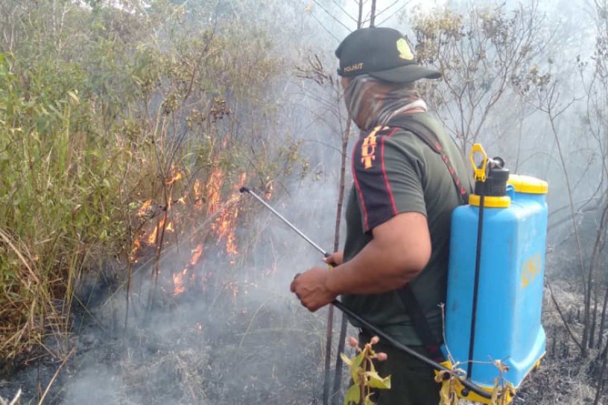 Hutan Way Kambas masih terbakar