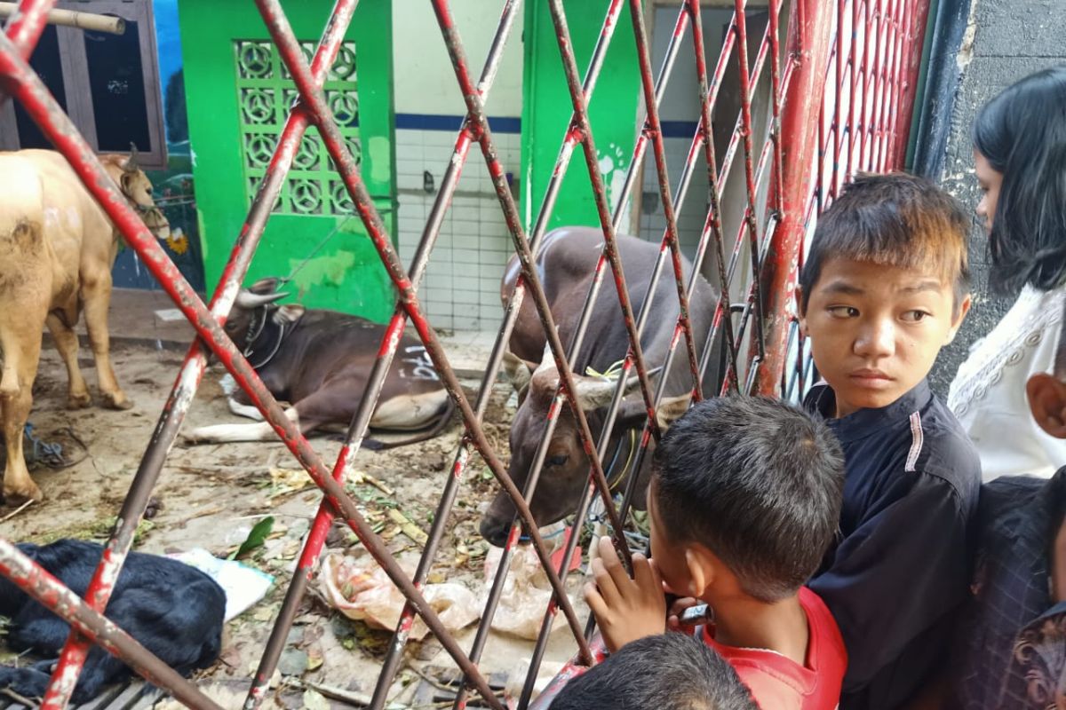 Hewan kurban banyak, tempat pengungsian korban kebakaran Tebet kekurangan pemotong k