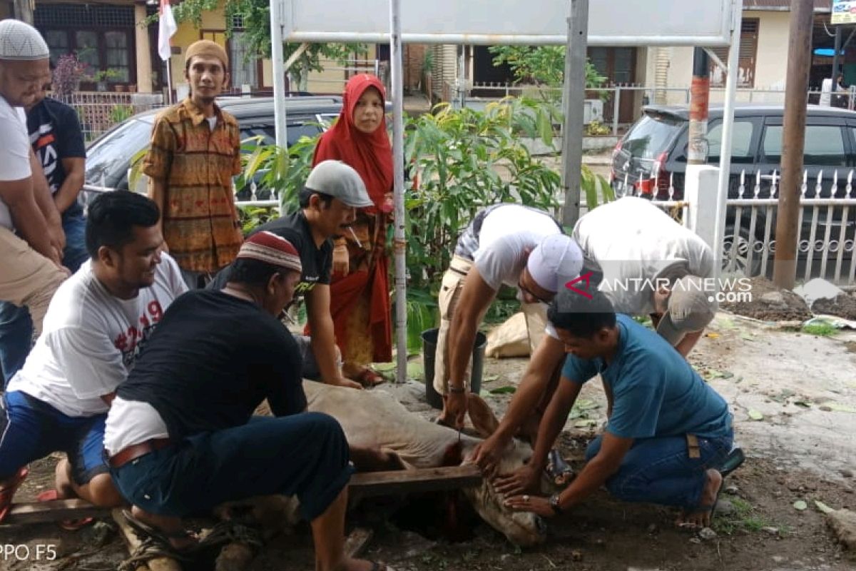 Gerindra Padangsidimpuan bagikan hewan kurban