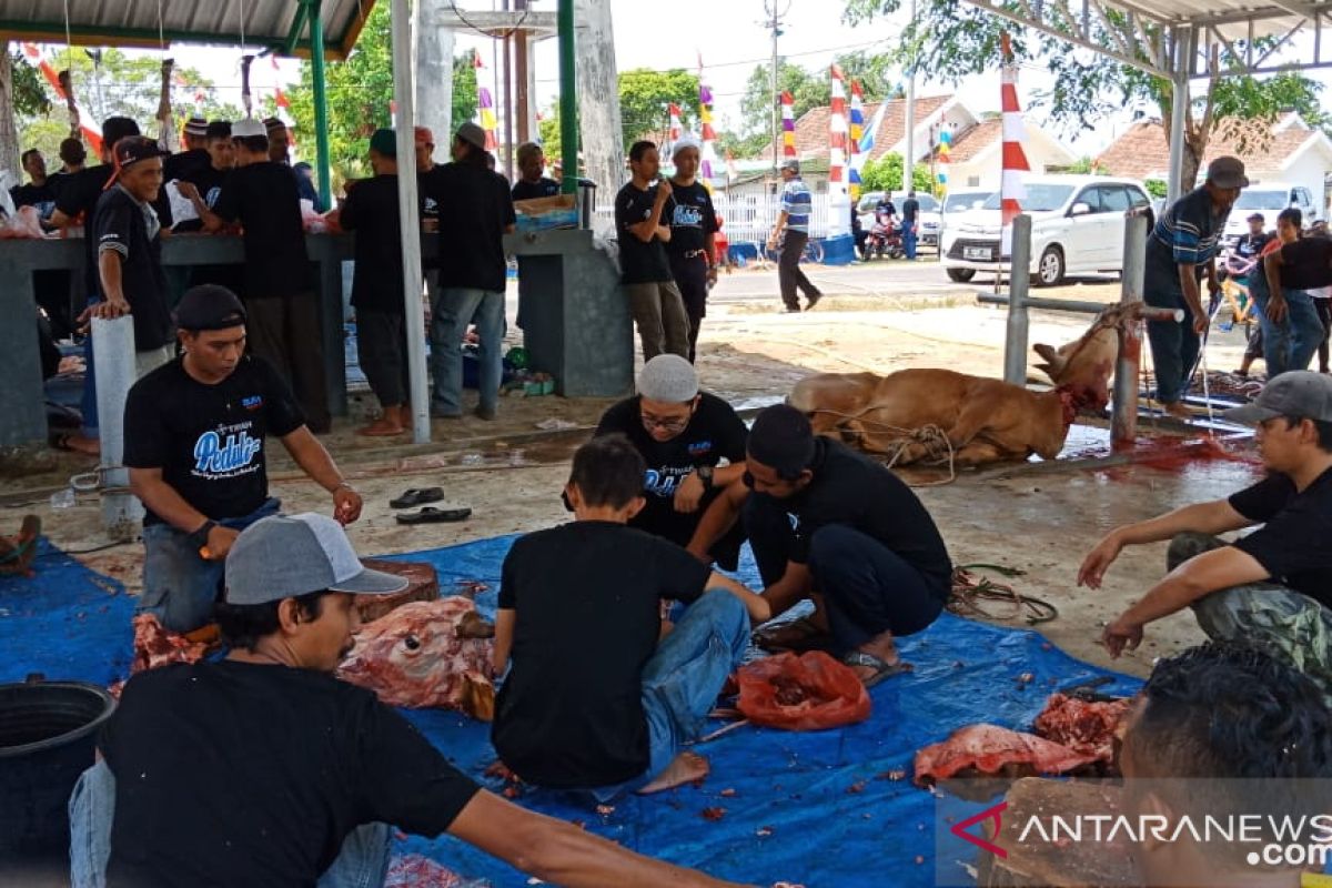 PT Timah Tbk potong 19 ekor hewan kurban di Mentok