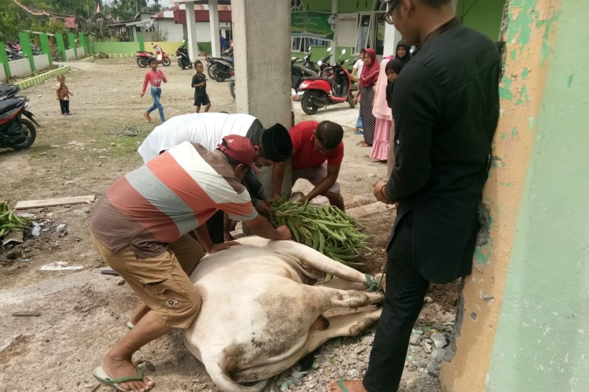 IJTI Sumbar Berbagi Daging Kurban Kepada Wartawan dan Warga