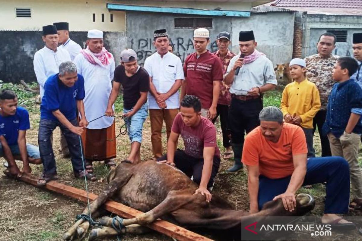 Keluarga besar Polres Tapanuli Selatan sembelih 11 ekor hewan kurban