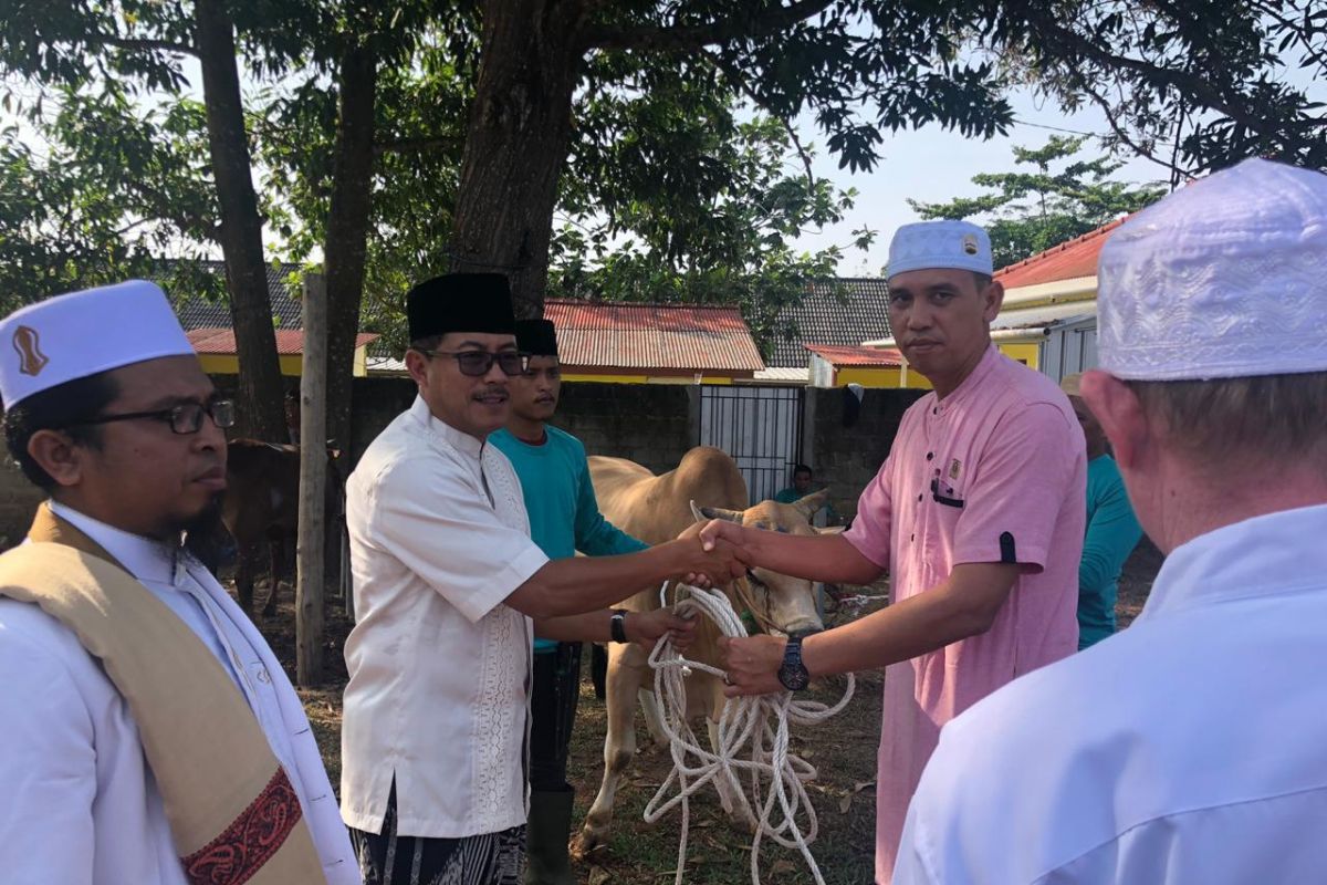 Polda Bangka Belitung potong 25 hewan kurban