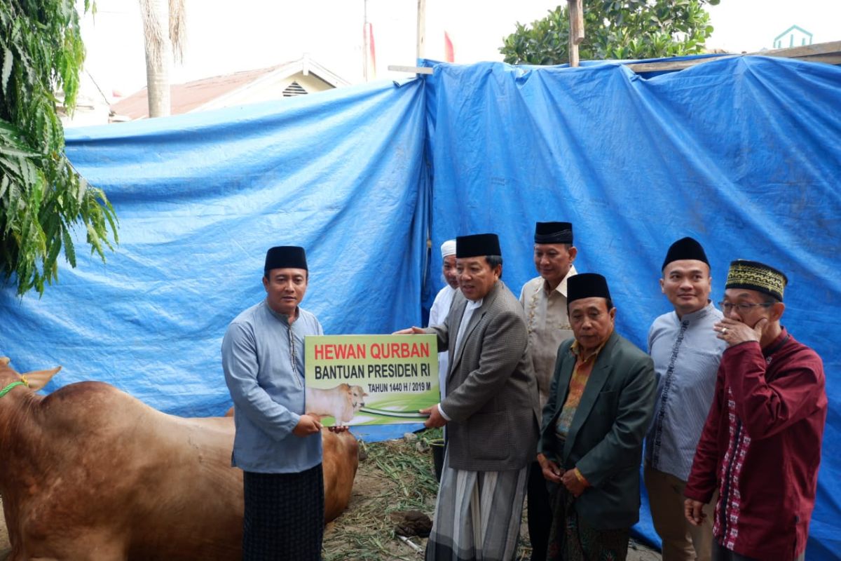 Gubernur Lampung Arinal Djunaidi serahkan sapi kurban dari Presiden seberat 1 ton