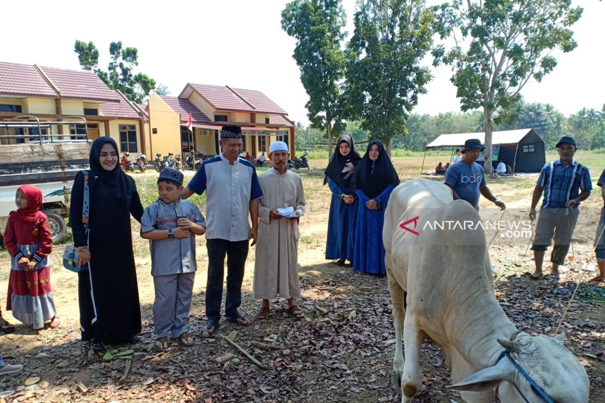 Polres HST berkurban tiga ekor sapi