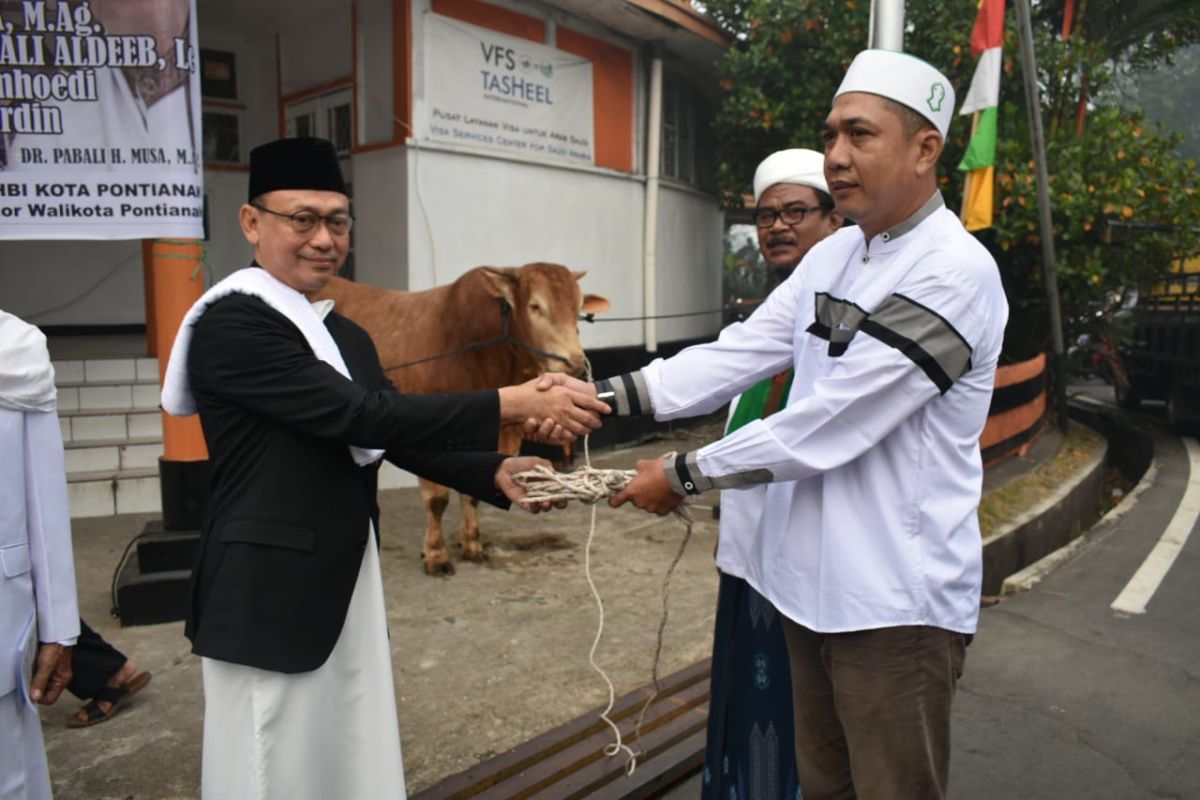 Jajaran Pemkot Pontianak salurkan 19 sapi dan tiga kambing kurban