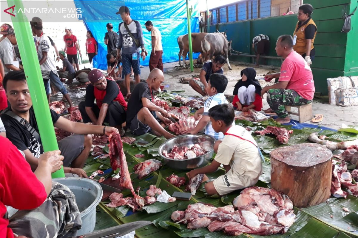 Hewan kurban di Manokwari juga disumbang instansi