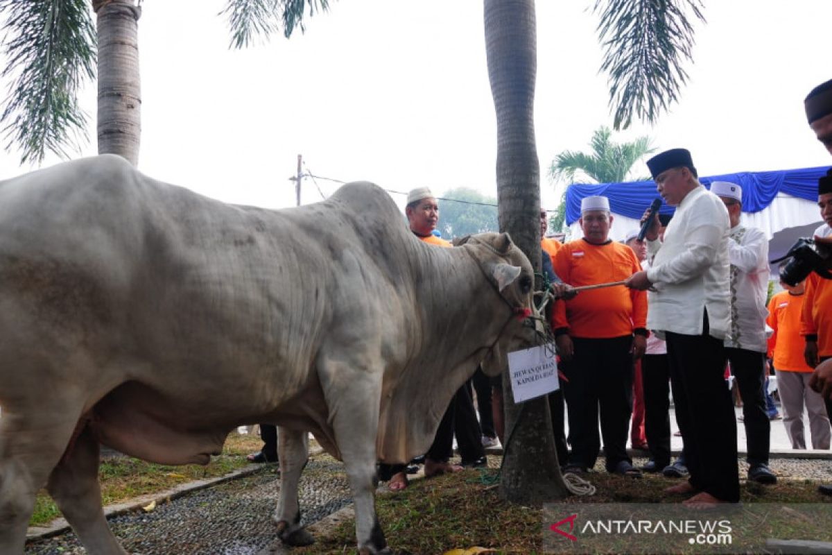 Polda Riau bagikan 1.150 kupon kurban