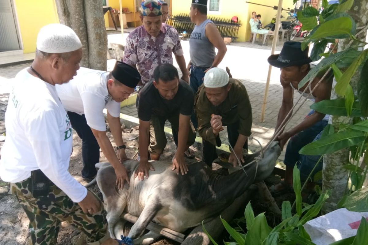 PWI Langkat bagikan daging kurban untuk anggota dan masyarakat