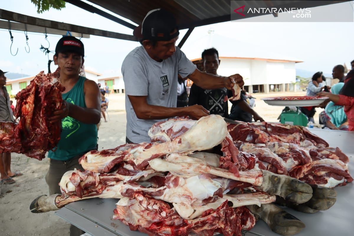 ACT bagikan 700 paket kurban kepada pengungsi di Palu