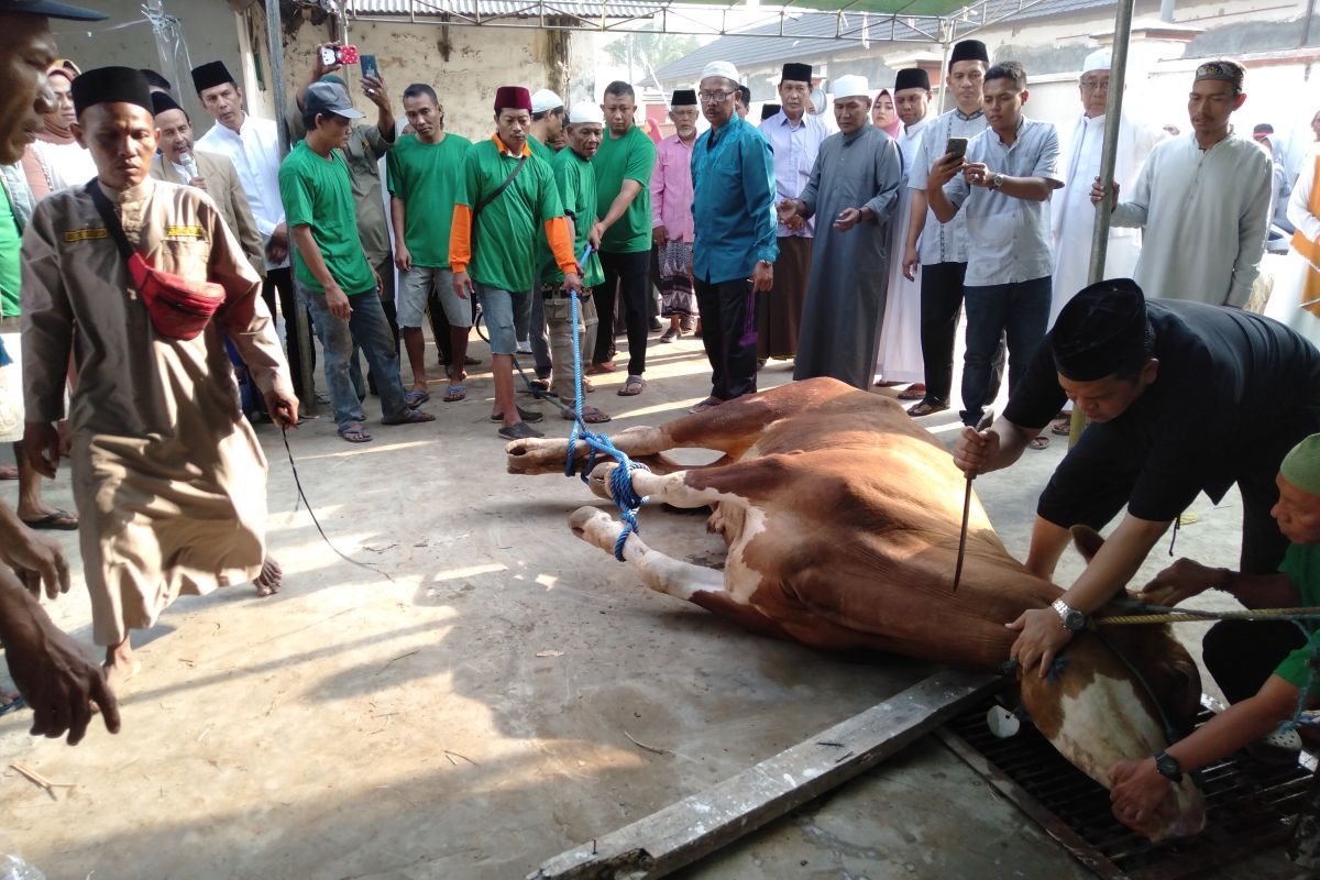 Bupati Karawang pastikan seluruh hewan kurban yang disembelih kondisinya sehat