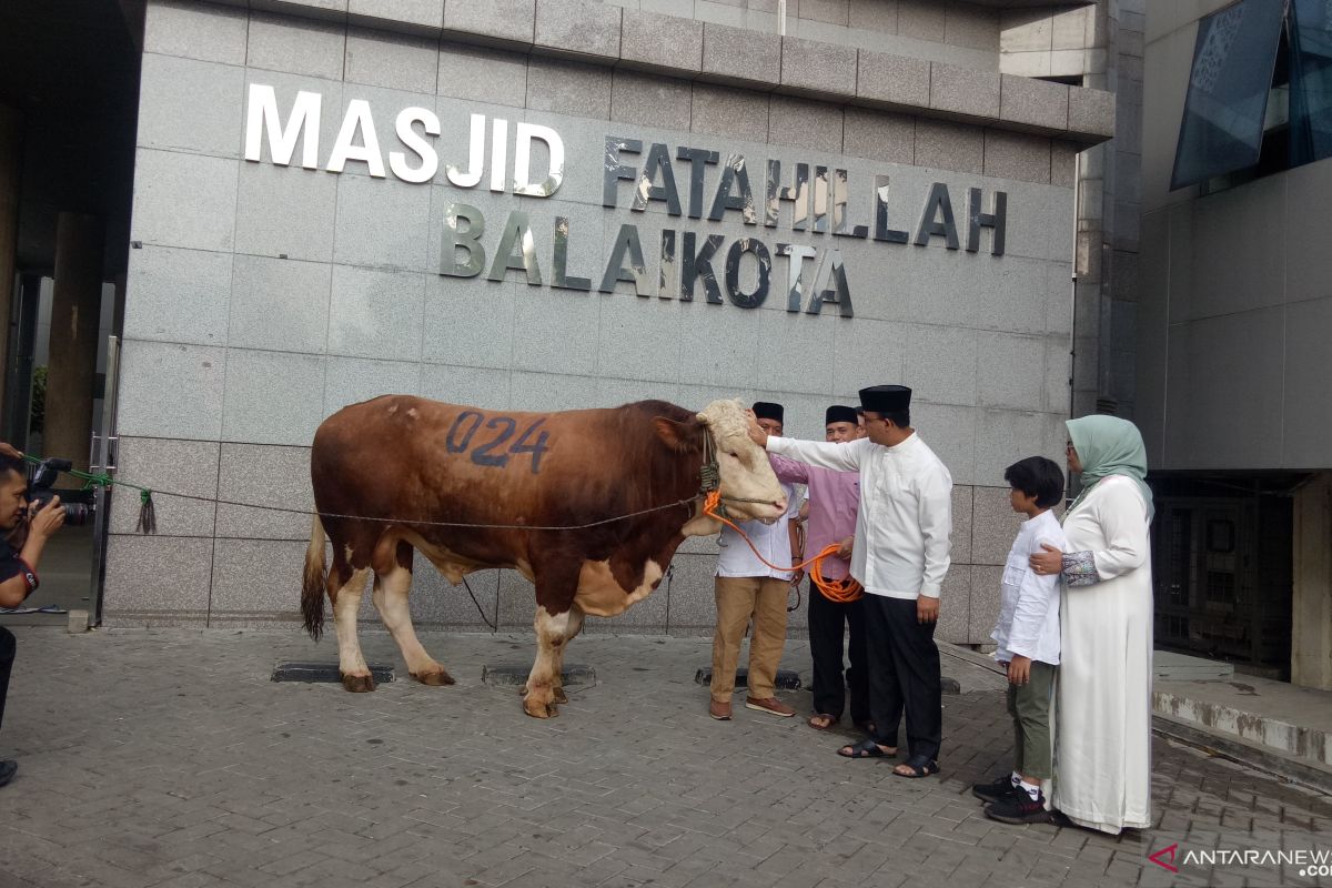 Anies sumbang seekor sapi kurban limosin untuk Pemprov DKI Jakarta