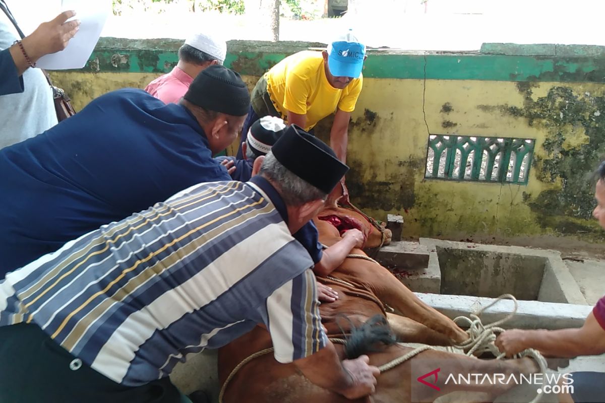 Masjid Agung Singkawang sembelih 30 ekor hewan kurban