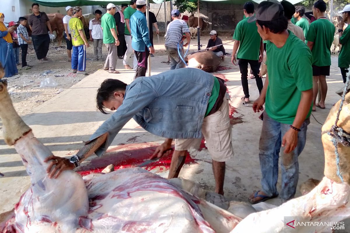 2.300 paket daging kurban dibagikan di Masjid Agung Karawang