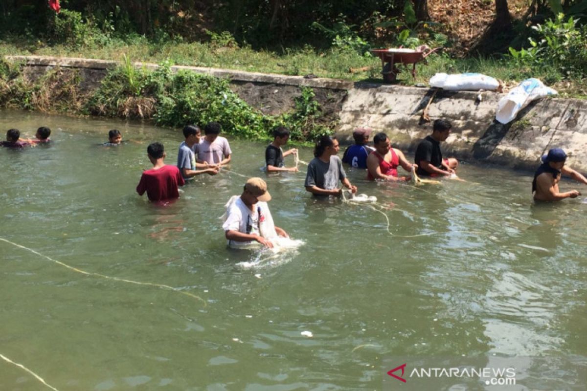 Meski dilarang warga tetap mencuci jeroan di Selokan Mataram