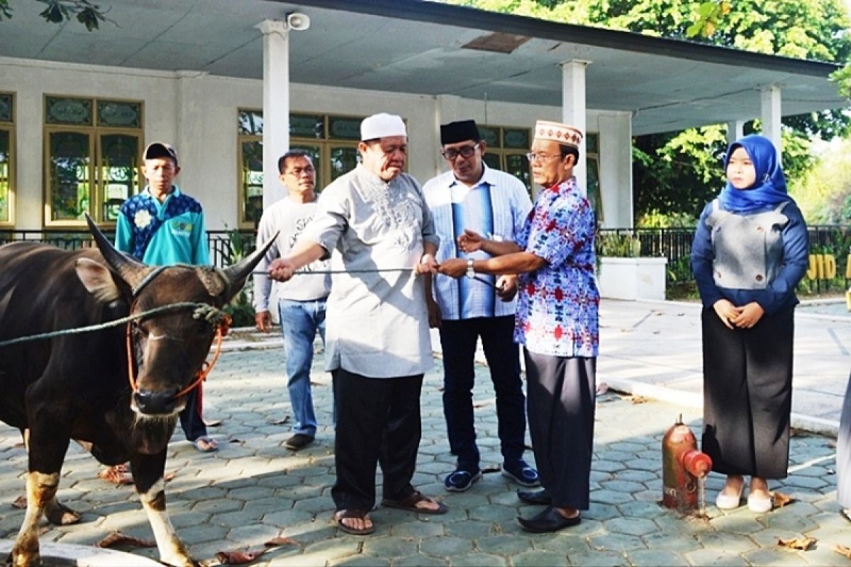 Pemkab Kapuas bagikan delapan ekor sapi kurban