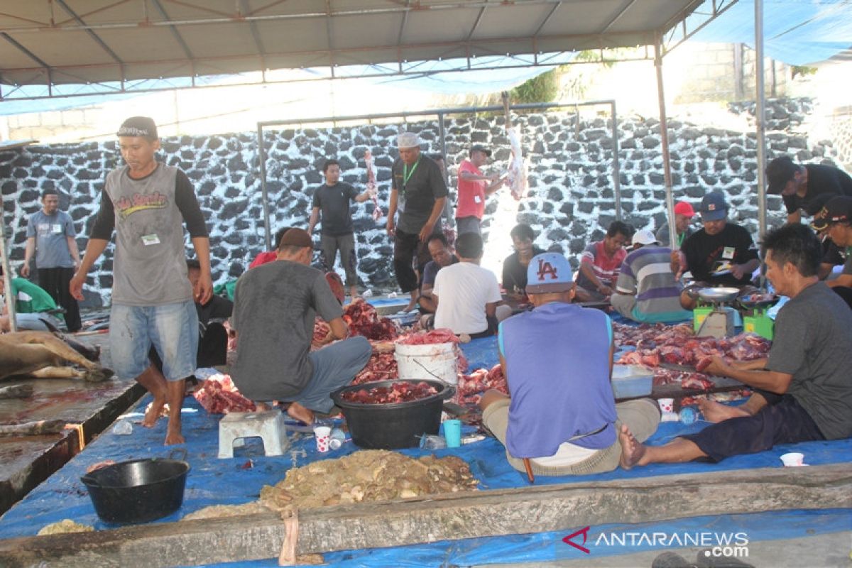 25 warga non-Muslim Waena Jayapura dapat paket daging kurban
