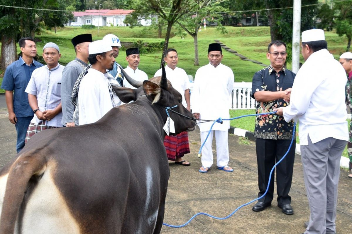 Personel Lantamal IX / Ambon bagikan daging kurban ke panti asuhan