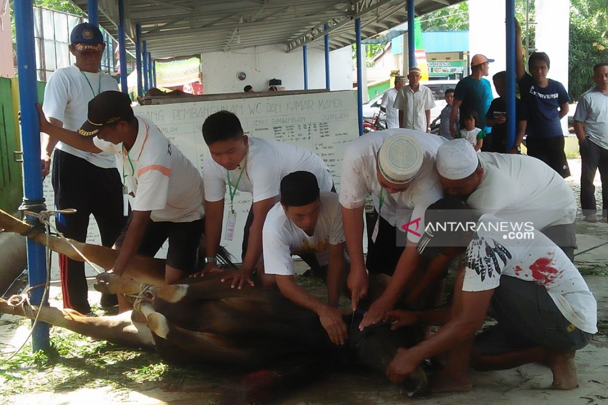 Jumlah hewan kurban Masjid Darussalam Mukomuko turun