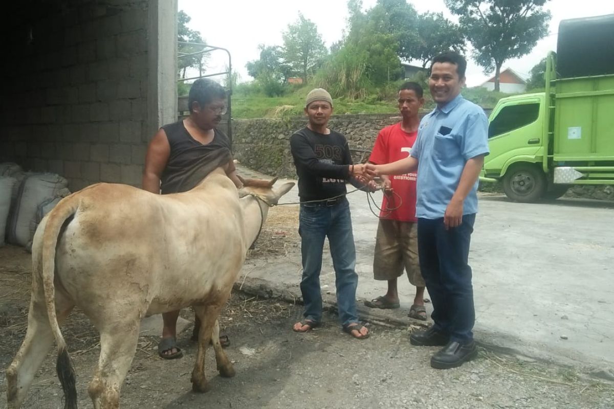 Aqua Solok sumbangkan hewan kurban ke Nagari Batang Barus