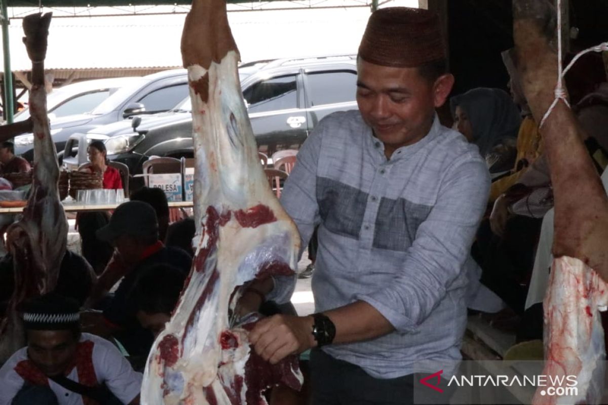 Pemkab Bangka kurban 11 ekor sapi pada perayaan Idul Adha