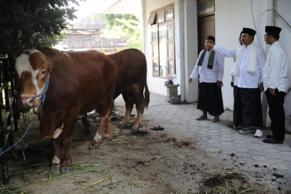 Besek-daun jati diinstruksikan untuk bungkus daging kurban di Madiun