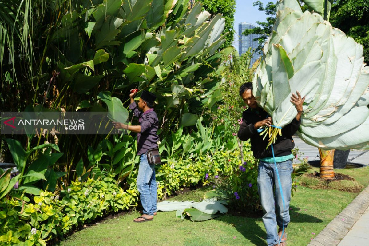 Risma bagikan daun pisang pengganti plastik ke sejumlah masjid di Surabaya