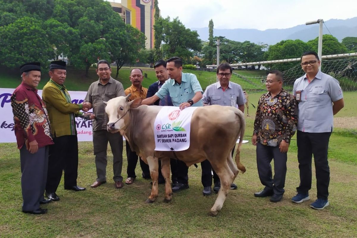 Semen Indonesia salurkan 233 hewan kurban