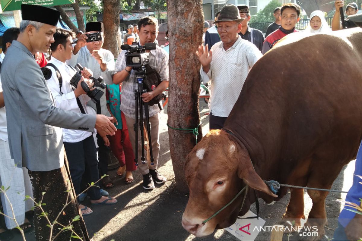 Ganjar berkurban sapi limosin, ajak kurangi sampah plastik