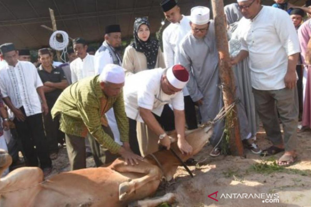 Gubernur Erzaldi potong enam sapi kurban di Desa Air Bara