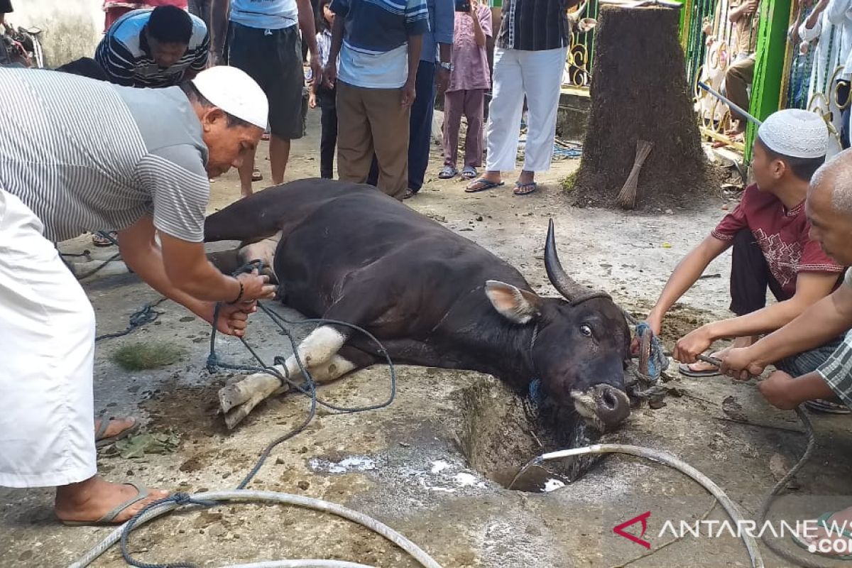 Jamaah diingatkan ikuti panutan nabi  dalam berkurban