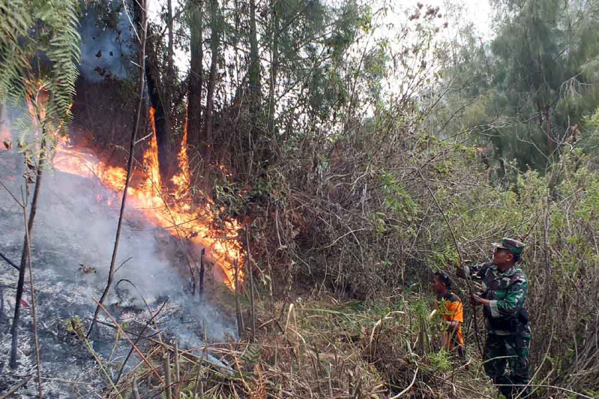 Diduga penyebab kebakaran hutan, seorang petani ditangkap polisi