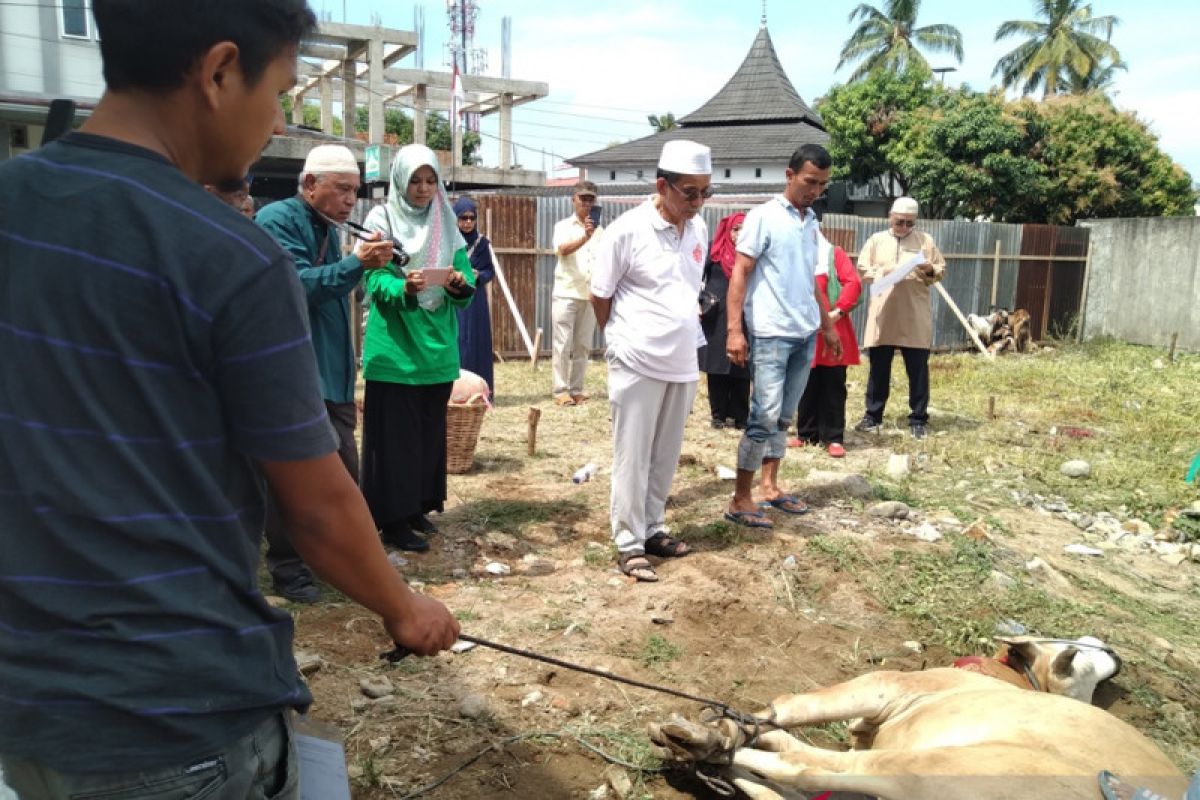 Ikut menyembelih hewan kurban di Padang, wisatawan Singapura senang