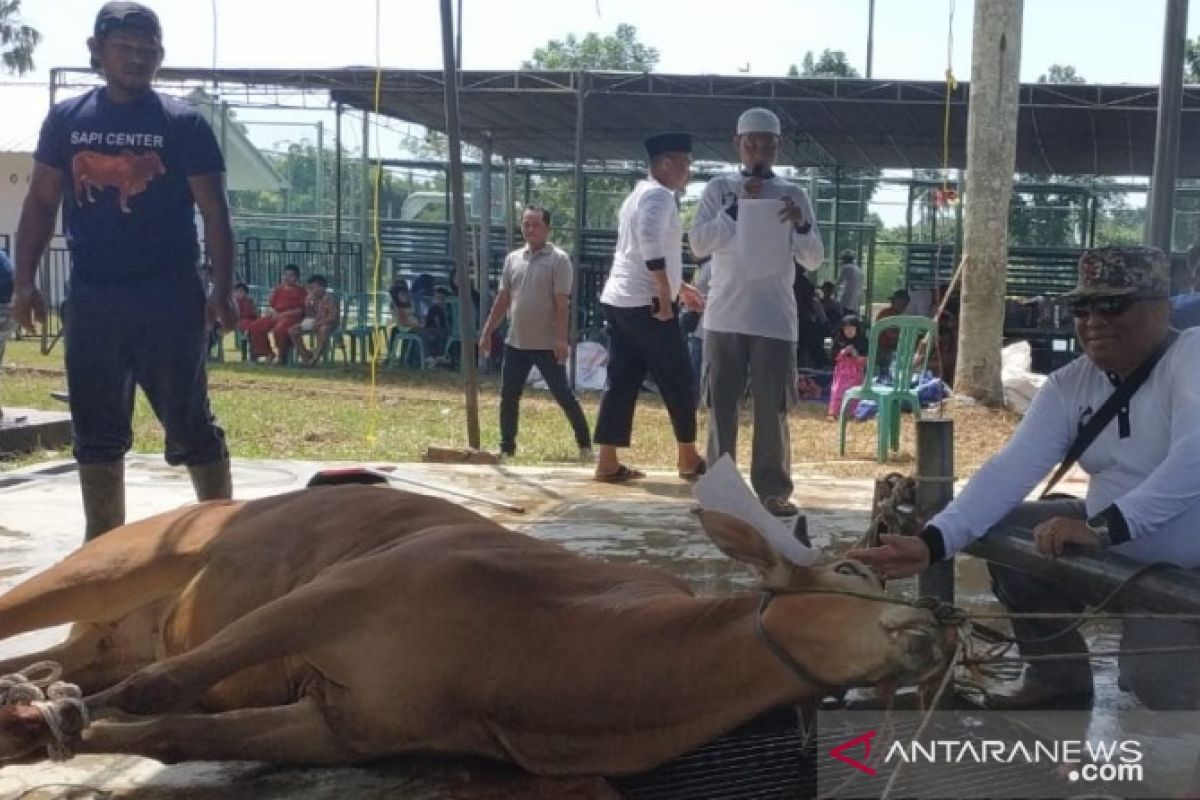 PT Timah bantu desa di Pulau Bangka yang tidak potong hewan kurban